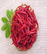 ӡ��S17���� ��������11�f-13�fSHU��