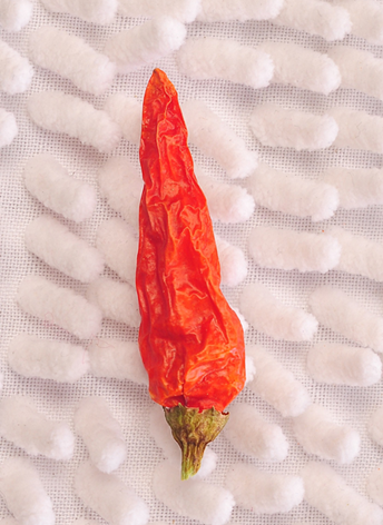 Ұɽ������������13�fSHU��