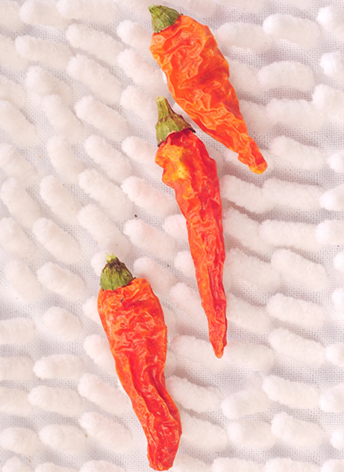 Ұɽ���������ͣ�13�fSHU��