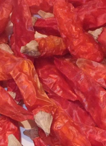 ����Ұɽ���������ͣ�13�fSHU)