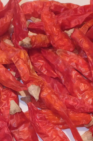 ����Ұɽ���������ͣ�13�fSHU)