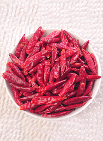 ������(������������4�f-8�fSHU)