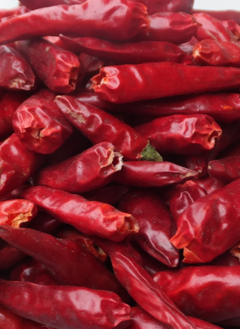 ��һ���t������������5�f-6�fSHU��