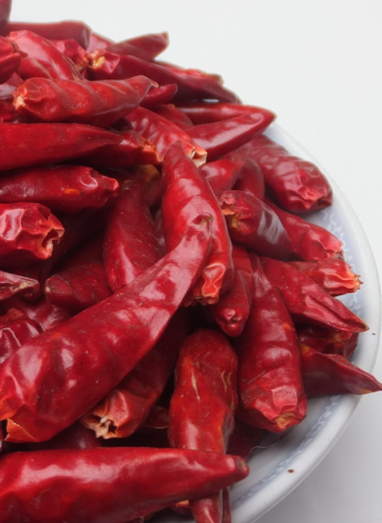 ��һ���t������������5�f-6�fSHU��