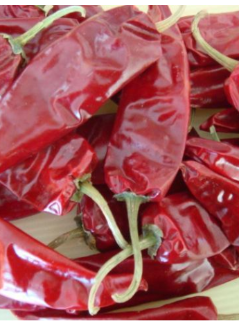 �涼�t��΢������1�f(w��n)����SHU��