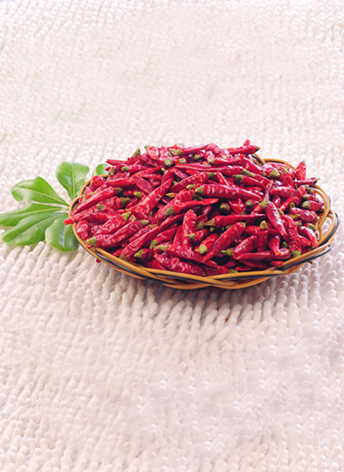 �M���ǣ���������10�f(w��n)����SHU��