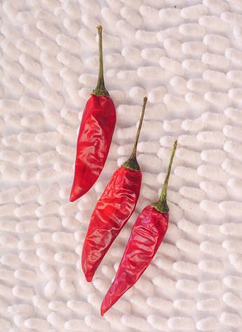 ������������������10-11SHU��