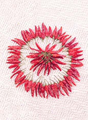 ������������������10-11SHU��