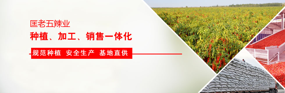 ���������I(y��)�c¡ƽ�߿������зN�I(y��)����