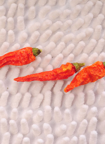 ������������������12�fSHU)