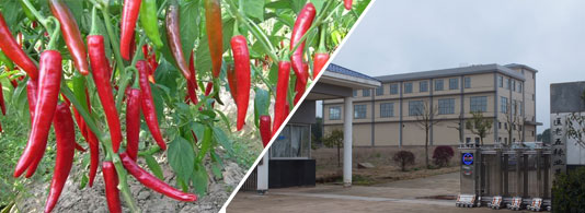 ������������������10-11SHU��