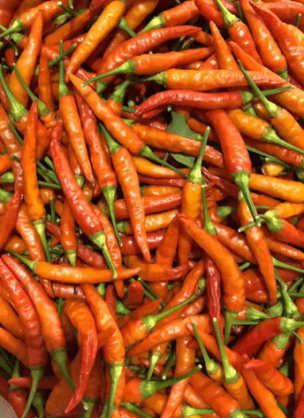 �ǐ��rҰɽ��