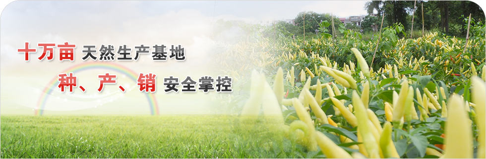 �a(ch��n)Ʒ����