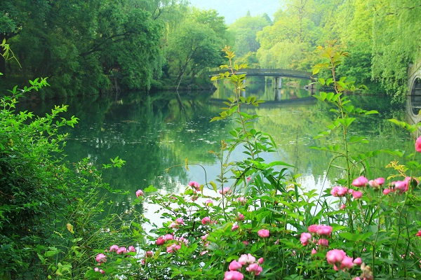 蝶戀花__春.jpg