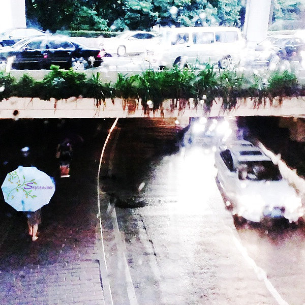 造價(jià)四部（散文類）望雨思.jpg