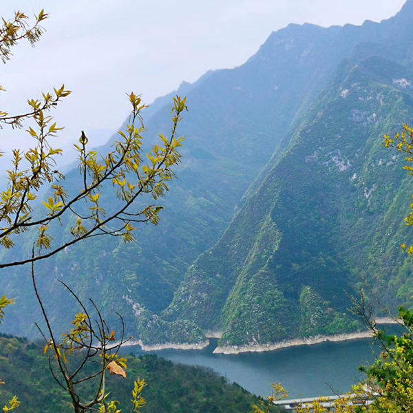 造價(jià)四部（散文類）游南五臺(tái)山.jpg