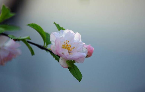 TIM圖片20200429183827.jpg