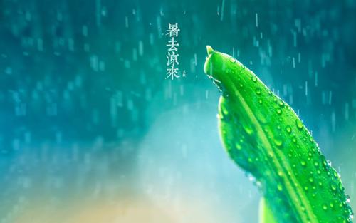 涼風(fēng)配圖.jpg
