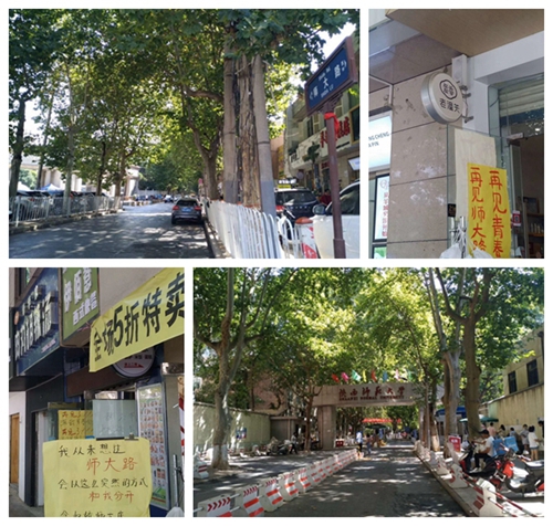 蘇幕遮配圖.jpg