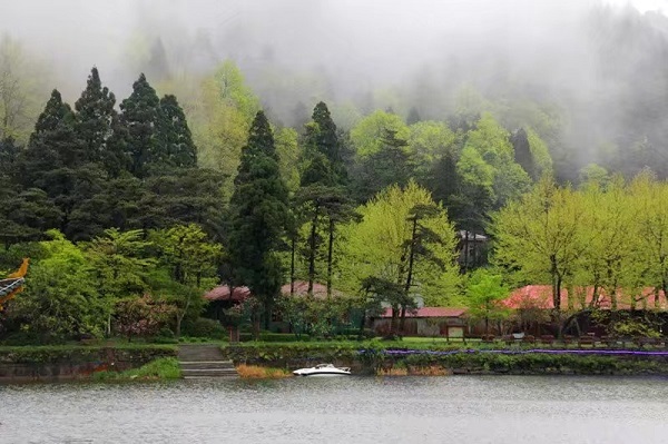 秋雨三章配圖1.jpg