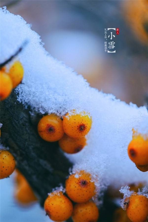 散文類；小雪，造價四部 惠姣.jpg