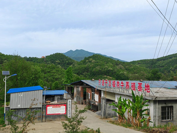微信圖片_20250806211359_副本.jpg