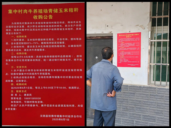 微信圖片_20250806211408_副本.jpg
