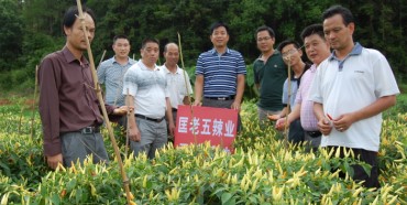 ����������Ұɽ�� ���؈DƬ