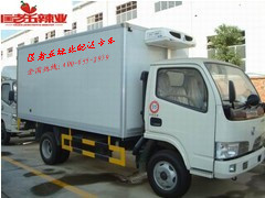 �����嵶���zȫ������