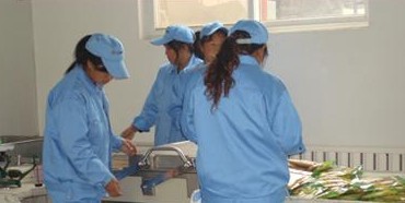 ���������I(y��)�ɰ��������b