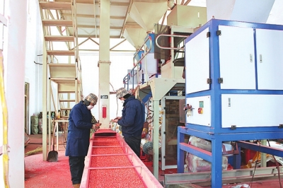 ���������I(y��)���M�ӹ���