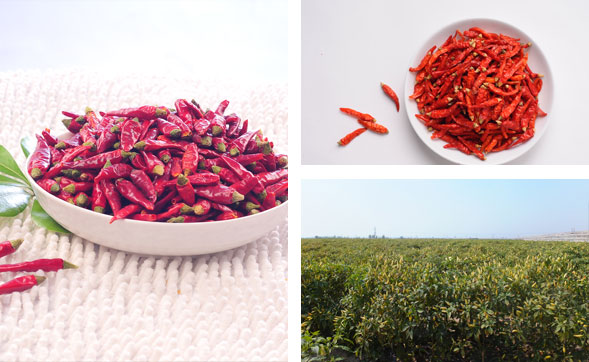 ���������l(f��)�Ј�