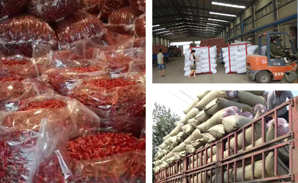 ��ɽ���������l(f��) �ҿ��������I(y��) ��(zh��n)�](m��i)�e(cu��)