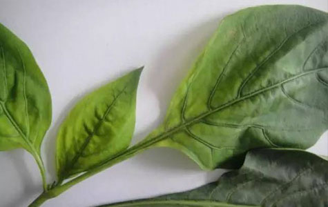 С�׽����l(f��)