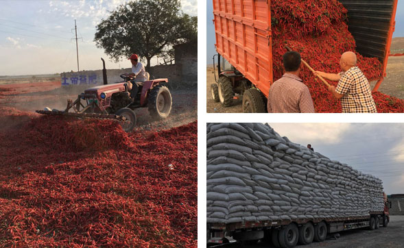 Ұɽ���r��