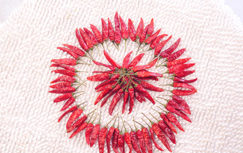 ��(y��u)�|(zh��)������