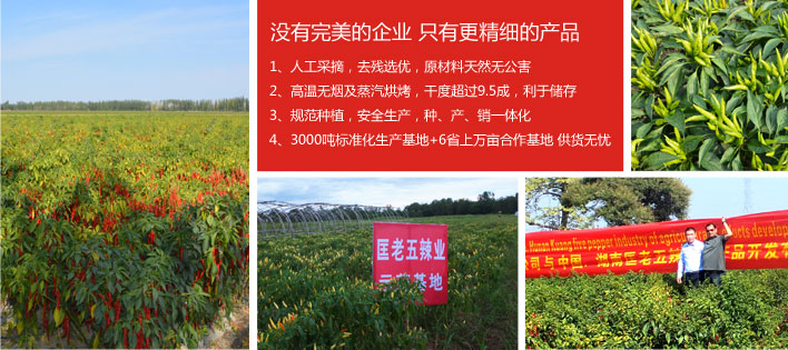 ���������I(y��)